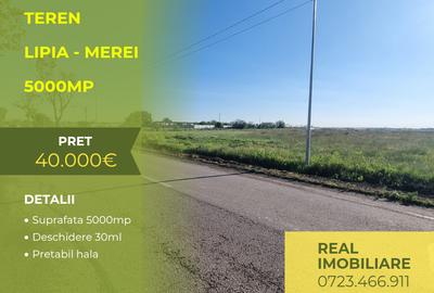Teren la intrare in Lipia, pretabil hale !