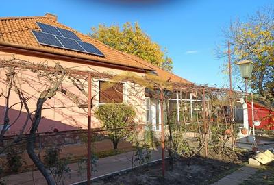 Casa de vanzare in Vladimirescu in zona primariei. - 6