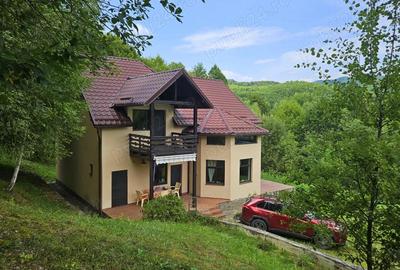 Casă cu 5 camere cu Teren 6842 Mp în Brădetu - 15