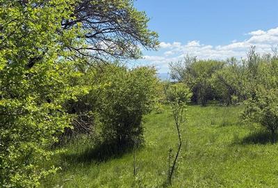 Teren lINTRAVILAN, langa Lempes, construibil Teren lINTRAVILAN, langa Lempes, construibil - 2