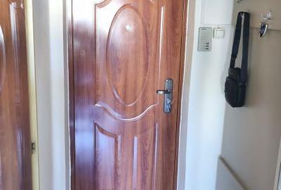 Apartament cu 3 camere semidecomandat, mobilat în Rahova - 1