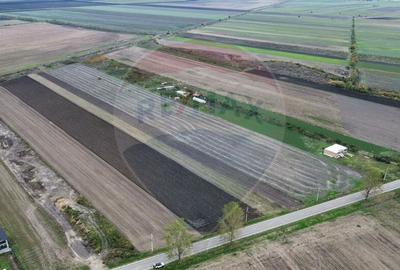 Teren intravilan 10869mp Mircestii Vechi / DJ 204E - 2