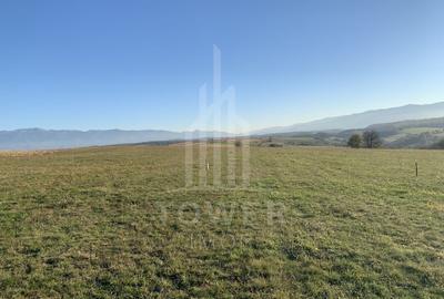 Teren pentru constructie cabana in Dealul Daii-parcele de 650 mp - 2