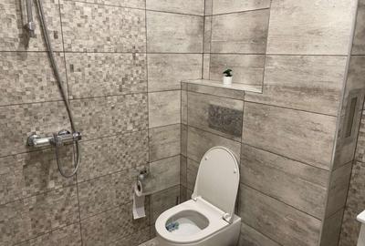 Apartament de vanzare in zona Grivitei - 2