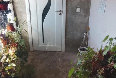 Casa de vanzare la 50km de Timisoara - 3