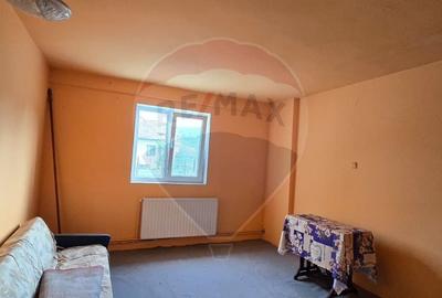 Casă cu 10 camere cu Teren 1000 Mp în Chisindia - 9