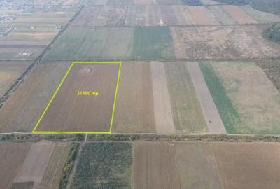 Teren Construcții intravilan de 21350 mp, în Moșnița Nouă - 1
