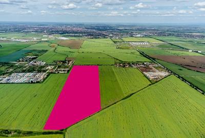 Teren cu PUZ ideal pentru parc logistic și de servicii - 2