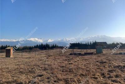 Teren intravilan 7900 mp de vanzare pe Valea Avrigului - 4