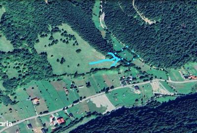 Teren de 3386 mp, în Borca