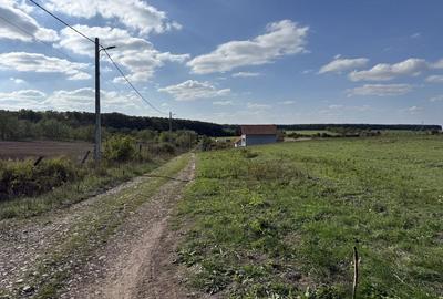 Spațiu comercial, în Păușa - 1