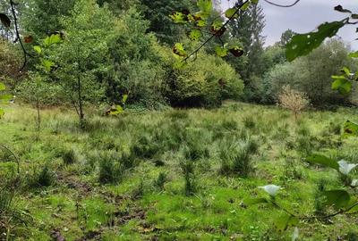 Vand casa ?i terenul aferent de 2 hectare intravilan - 1