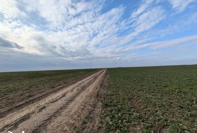 Teren de 300 mp, în Vărăști - 3