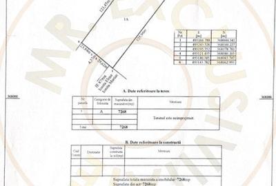 Teren intravilan Auchan Bradu - 4