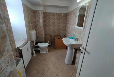 Spațiu comercial, de 950 mp, în Badea Cârțan - 2