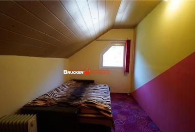 LOCUINTA TA DE VIS IN PADUREA NEAGRA - 2