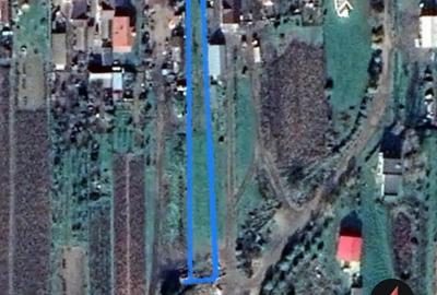 Teren de 2000 mp, în Ciuperceni - 1