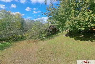 Casa de vanzare in Ghirbom - Berghin- 3800 mp teren - 13