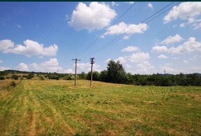 Teren de 18100 mp, în Domnești - 5