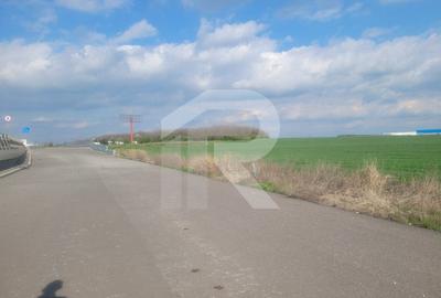 Teren 33.637 mp cu deschidere 88 m la Centura, zona mixta – Popesti-Leordeni - 4