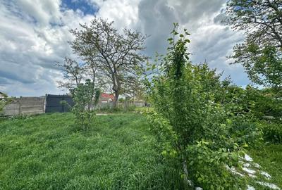 EXCLUSIVITATE! Casa 3 camere - Mihail Kogalniceanu - 55.000 euro negociabil (E8) - 20