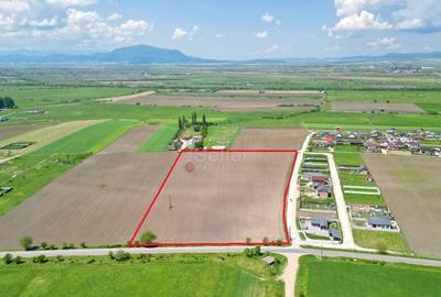 Teren Intravilan - 2