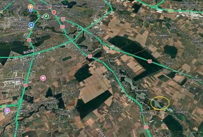 Teren agricol intravilan de 62000 mp, în Crevedia - 14