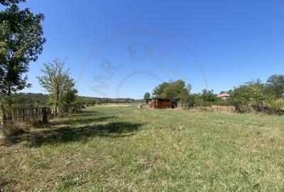 Teren 10414 mp in loc. Albota-Mares. COMISION 0% - 3