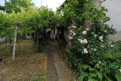 Casă în Vârtop - 5