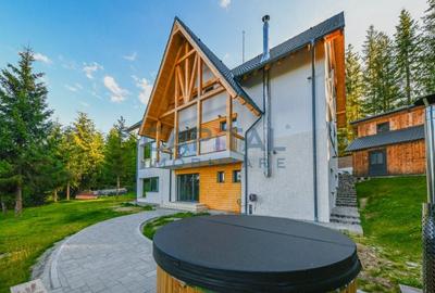 Pensiune de lux, 8 dormitoare D+P+M+P, teren 2200 mp, Statiunea Muntele Baisorii - 7