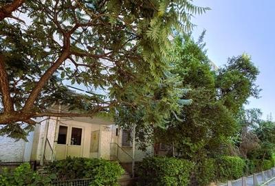 Apartament str Pridvorului  la parcul Lumea Copiilor, vedere integral la parc - 17