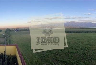 Vila 302 mp cu 9 camere 4 bai garaj si 700 mp teren in Bradu - 2