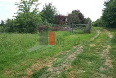 Teren Buftea cu iesire la lac - 6