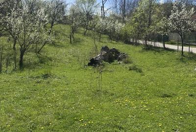 Spațiu comercial, de 2,035 mp, în Provița de Jos - 9