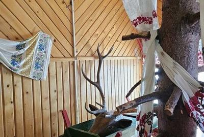 Pensiune in jud. Buzau, loc Ivanetu| Constructie lemn|Pozitionare impresionanta - 32