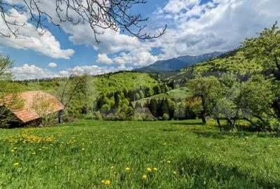 Teren intravilan 3400 mp, in Balaban - Simon, Bran - Brasov - 4