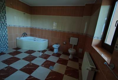 Vilă spațioasă cu teren generos, garaj, zonă ideală, direct proprietar - 13