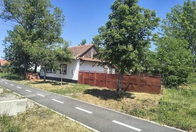 Casă cu Teren 1500 Mp în Tormac - 8