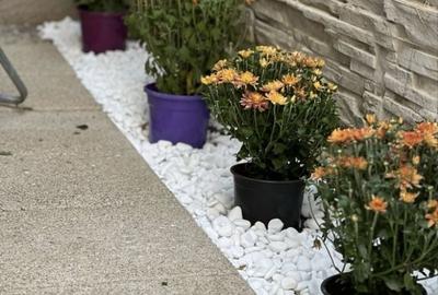 Garsonieră decomandată în Exterior Vest - 3