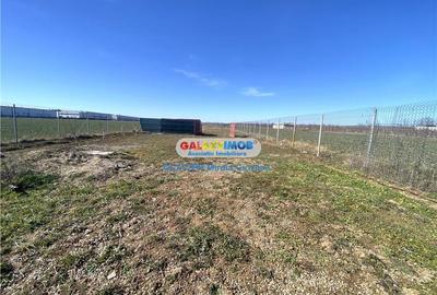 Inchiriere Hala Industriala Baicoi Prahova - 7