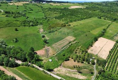 Teren agricol extravilan de 5240 mp, în Berchezoaia - 4