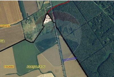 Teren Ciolpani 6000 mp DN1 PORTICO VENUE - 3