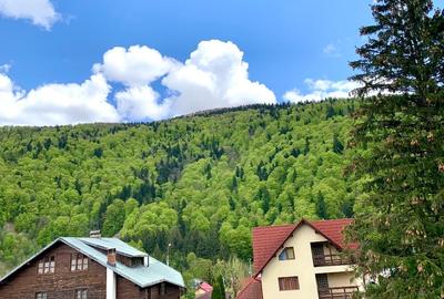 Vila turistica &business cu venit pasiv - 3