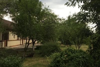 TEREN + CASA Silistea Snagovului toate utilitatile - 1