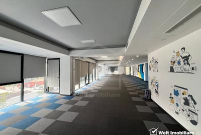 Birouri moderne zona FSEGA - Iulius Mall - 4