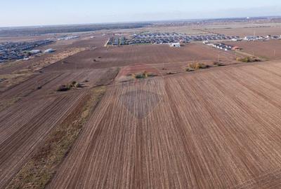 Teren Construcții intravilan de 7400 mp, în Săbăreni - 13