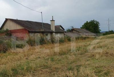 Teren intravilan 6000 mp cu 2 fronturi, parcelabil - 1