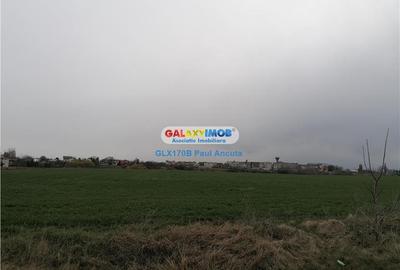 Teren Construcții intravilan de 1250 mp, în Balotești - 3