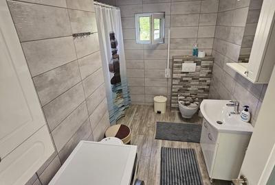 Casă cu 4 camere cu Teren 1387 Mp în Murighiol - 6