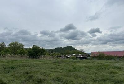 Casă cu 4 camere în Slava Rusă - 12